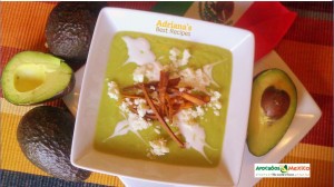 avocado soup