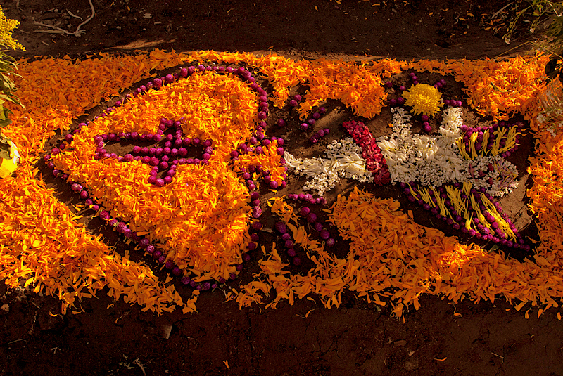 Tumba decorada con flores para el día de muertos ~ foto cortesía de Carlos Contreras de Oteyza