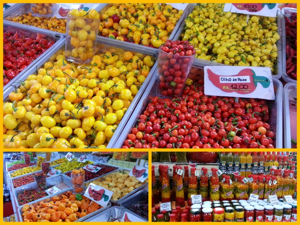 The many varieties of peppers in Brazil