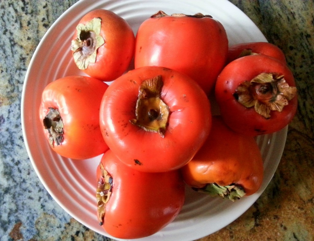 Fresh Persimmons from California #ABRecipes