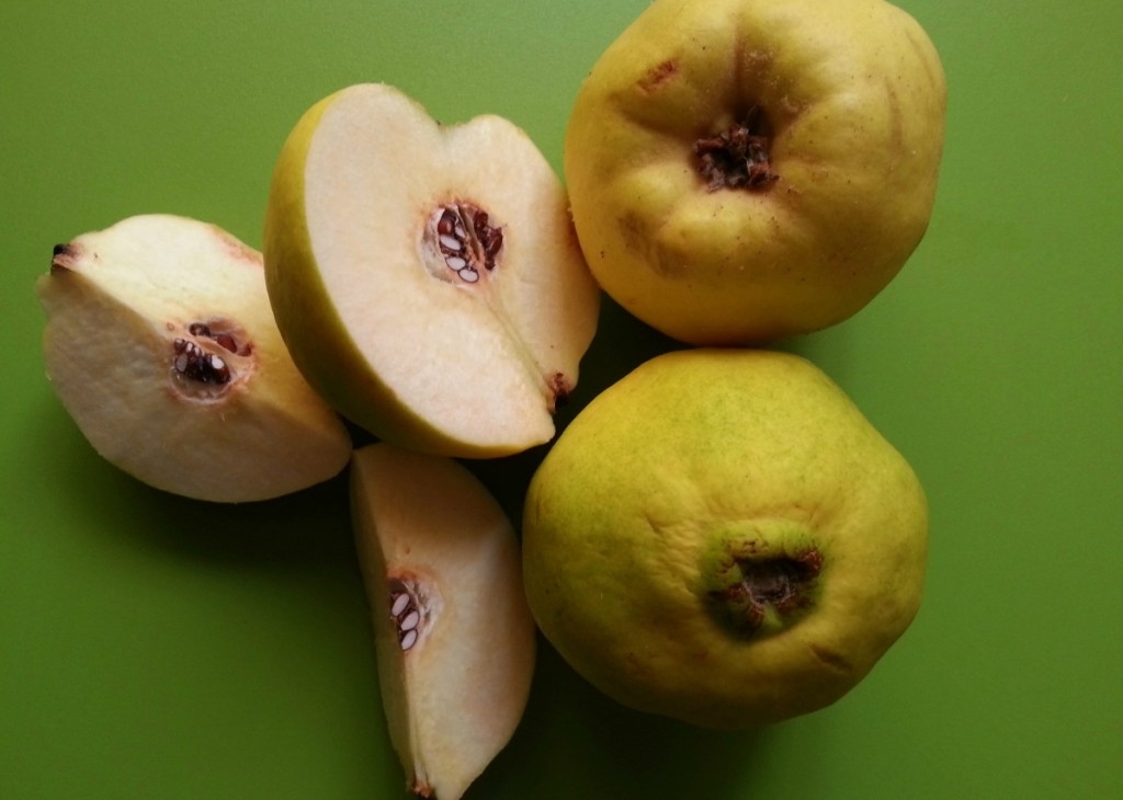 Quince or Membrillo #ABRecipes