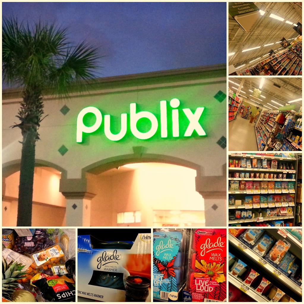 Publix at Kings Ridge in Clermont, Florida #MeltsBestFeelings #shop