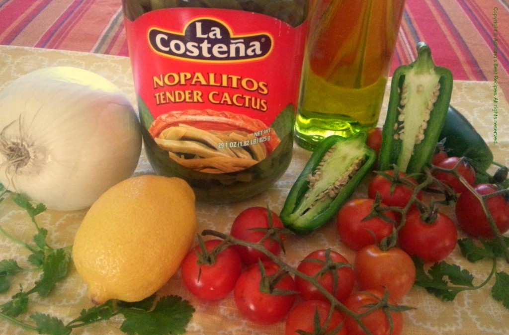 Ingredients for the Cactus Nopalitos Salad #ABRecipes