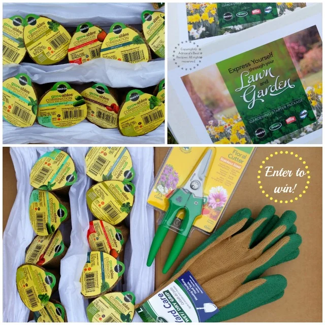 Giving away TWO sets for you to plant your own vegetable garden at home #MiJardinalidad #ad