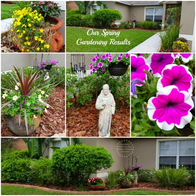 Our Spring Gardening Results #MiJardinalidad #ad