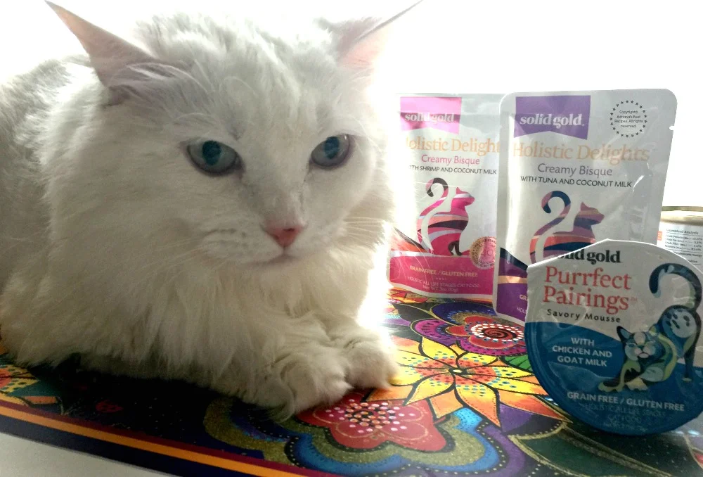 Holistic delights cat clearance food