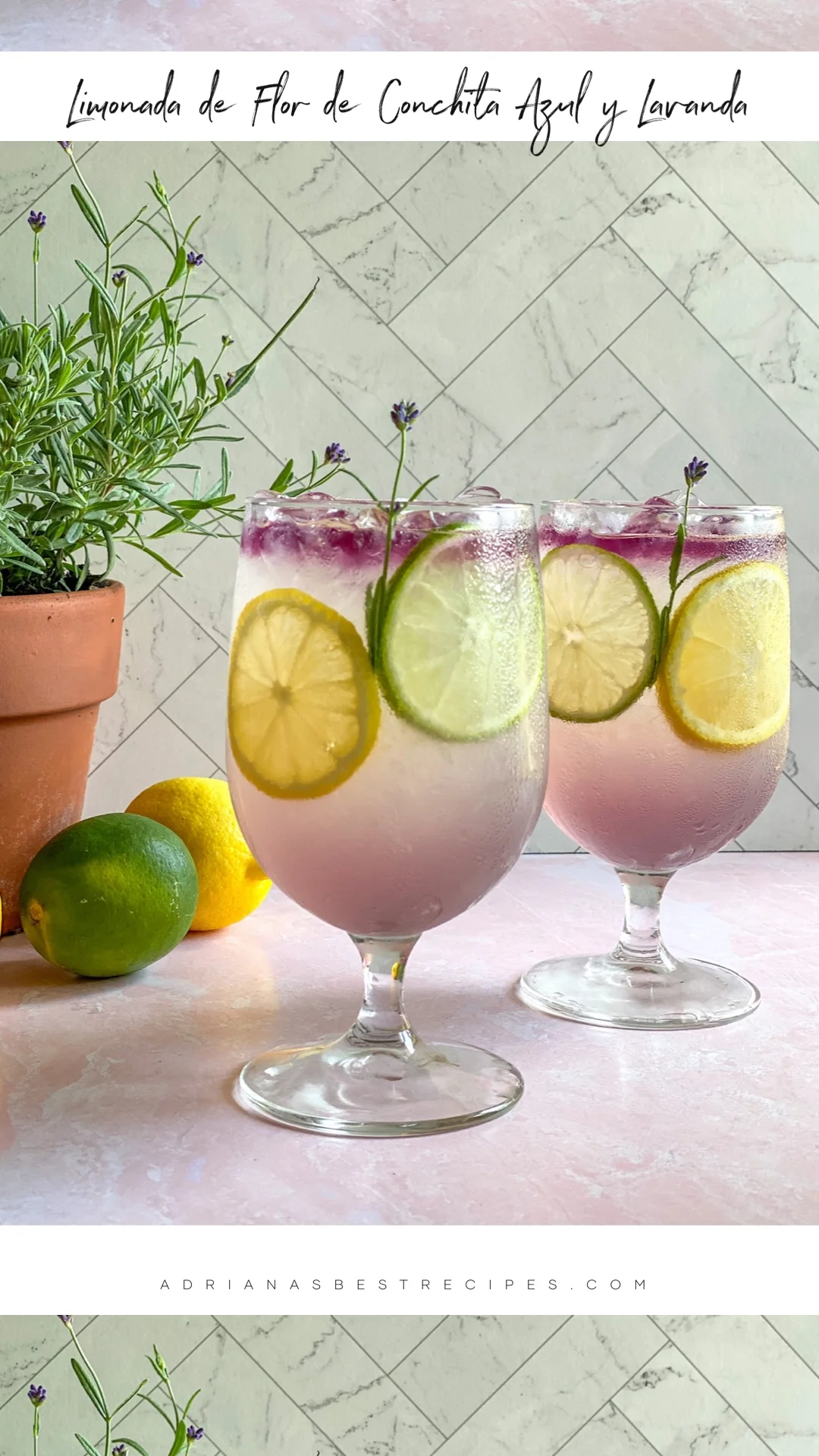 Dos vasos con limonada de flor de conchita azul y lavanda