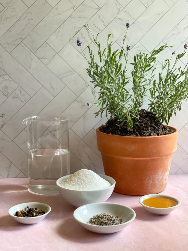 Los ingredientes para hacer jarabe de lavanda y flor de conchita azul incluyen caña de azúcar, miel y agua.